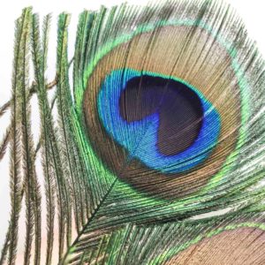 Ego /2