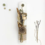 Cumințică levănțică