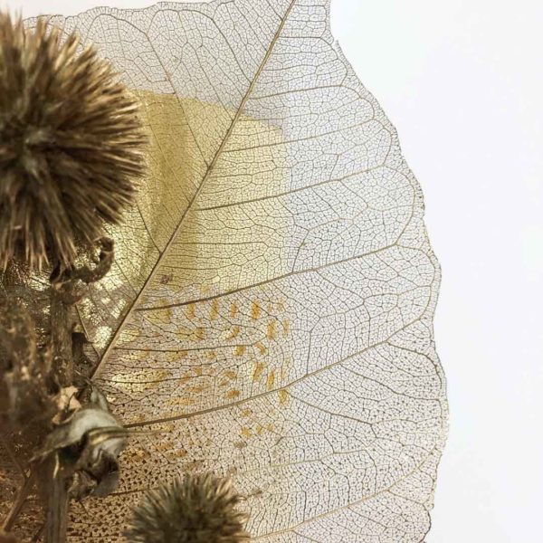 Călătorie în spicul de grâu