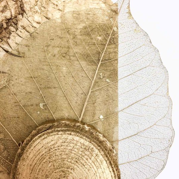 Natură-n miniatură