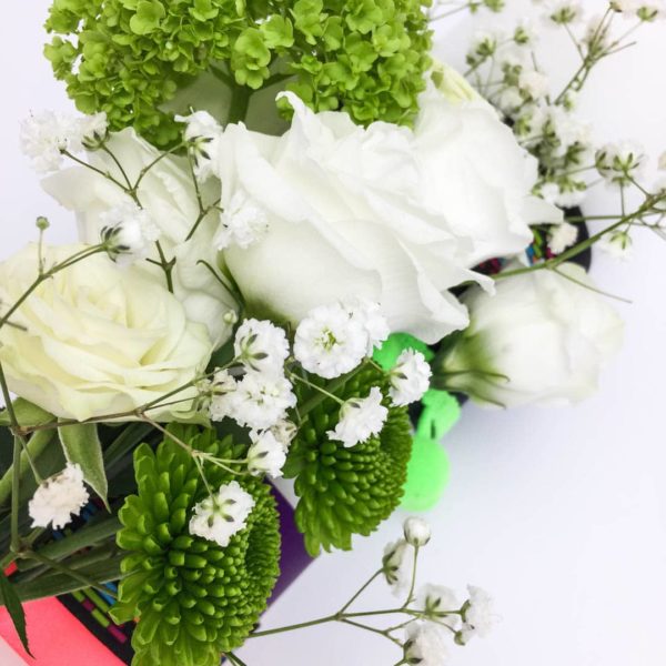 ARDN0031-4 Planete pe biciclete